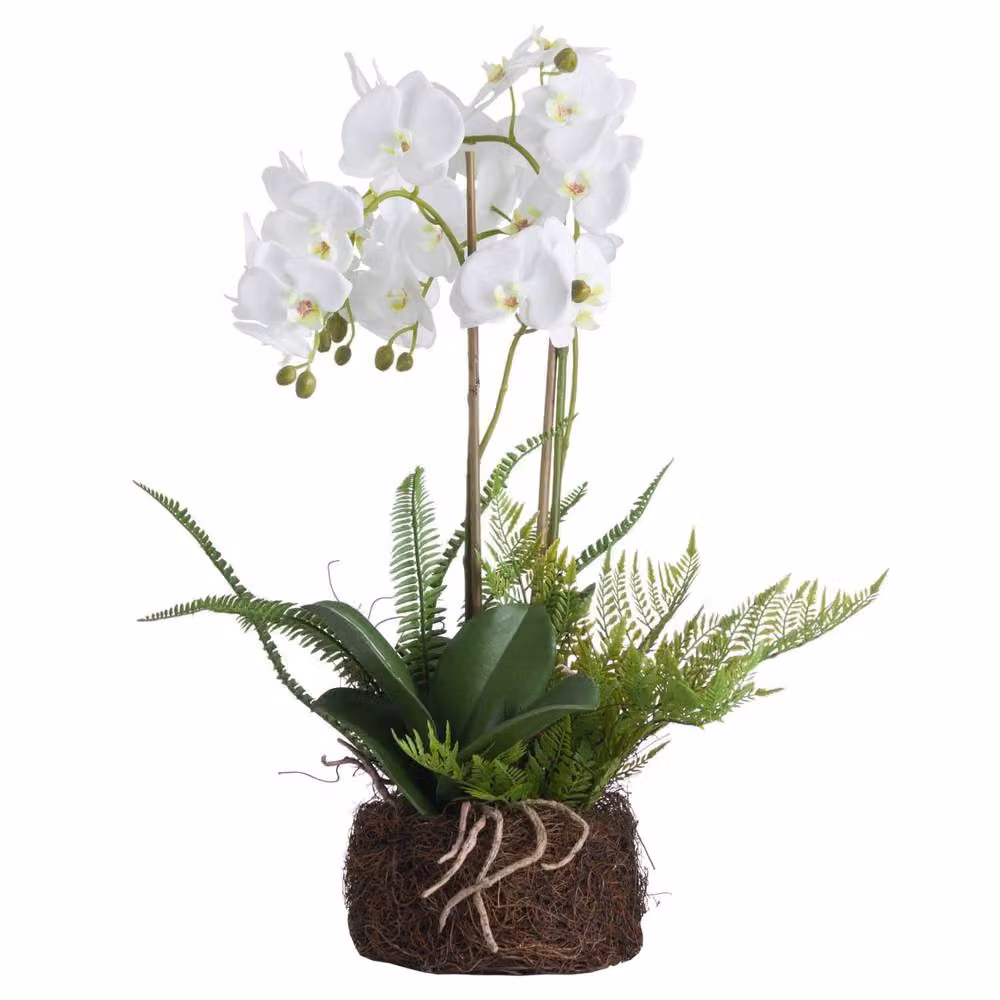 Wyld Haus Artificial Large White Orchid and Green Fern with Rootball – 2