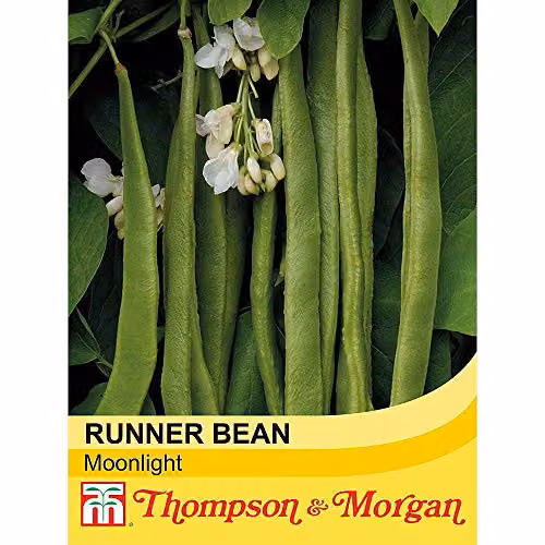 Thompson and Morgan Moonlight Runner Bean Seeds, 40 Seeds – 2