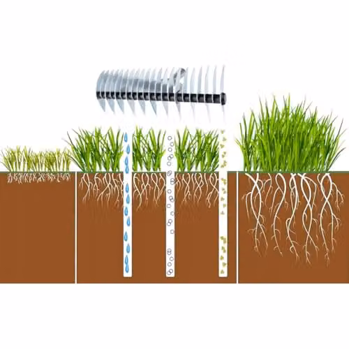 SolaDirect Manual Lawn Aerator Scarifier Head and Dethatching Rake for Moss Removal, Multicolour – 5