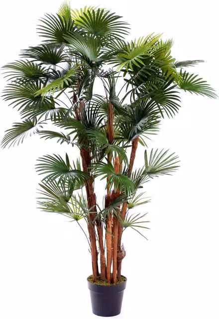 Best Artificial 5ft Spider Finger Palm Tree in Green