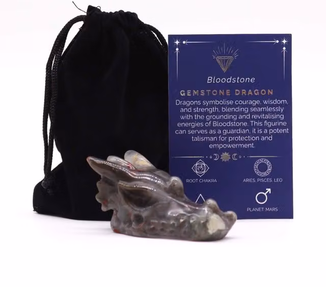 KDMK Bloodstone Large Dragon Head Spiritual Collectors Piece in Brown and Multicolour