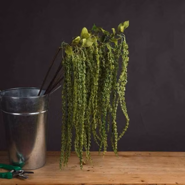 Lemon Pavilion Furniture and Decor Amaranthus Artificial Green Plant, Plastic, W: 7 cm, D: 7 cm, H: 100 cm