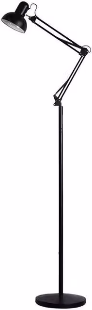 PAWNORA LED Floor Lamp with Adjustable Flexible Swing Arms in Black