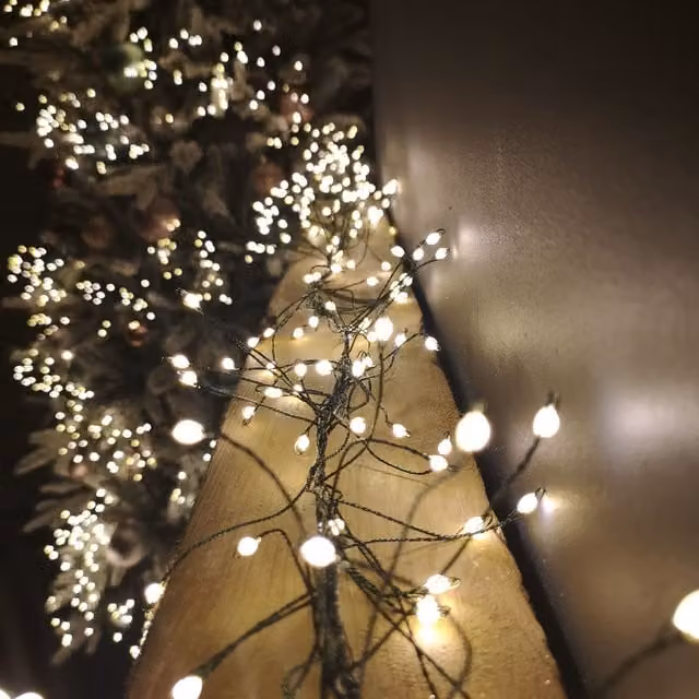 Samuel Alexander Green Christmas Garland with Warm White LED String Lights and Timer