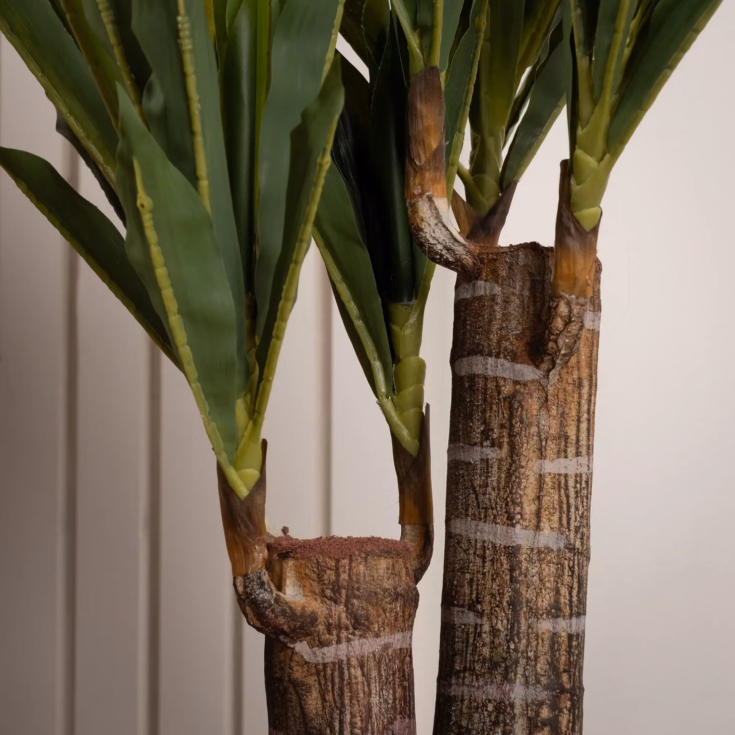 Scottish Everlastings Ltd 80 cm Double Stem Green Yucca Tabletop Tree – 3