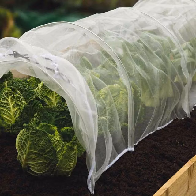 Grow it InsectGard Ultra-Fine Mesh Insect Barrier, White, 2m x 6m