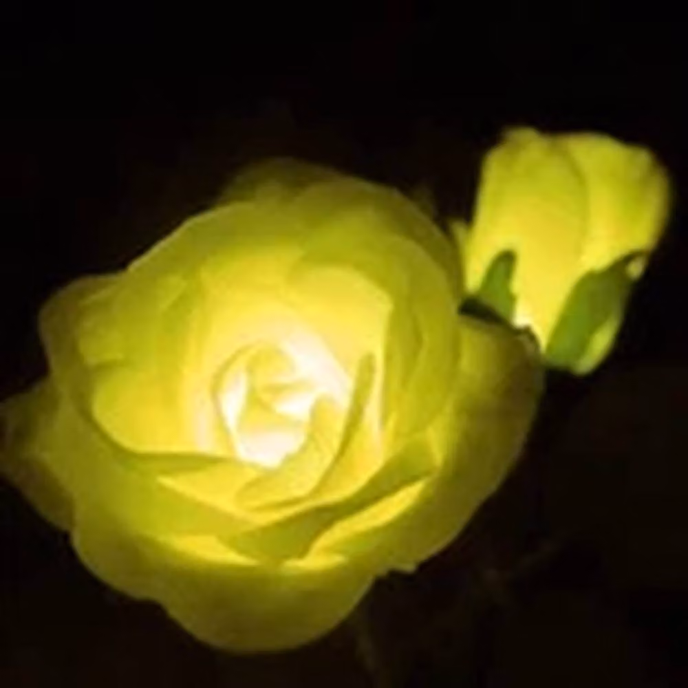 Havendro Yellow Solar Powered LED 5 Head Rose Flower Stake Garden Lights – 3