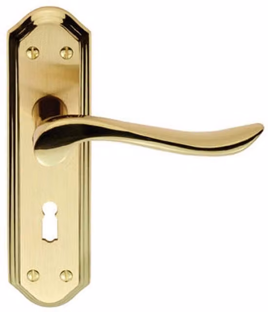 Loops Pair Curved Lever on Sculpted Edge Backplate in Satin and Polished Brass, W: 180 mm x H: 48 mm