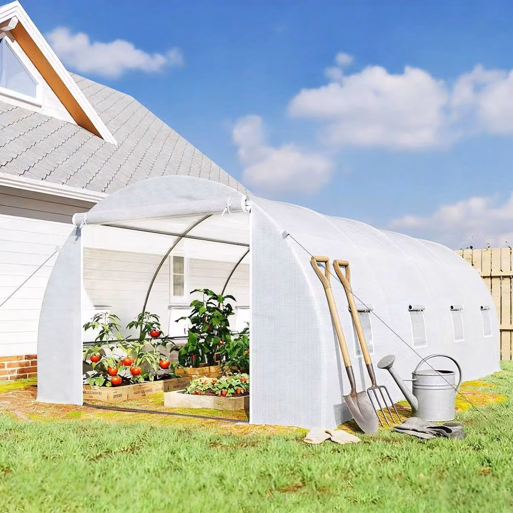 FLAVORA White Polytunnel Greenhouse W: 6 m, D: 3 m, H: 2 m – 2