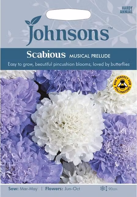 Johnsons Musical Prelude Scabious Flower Seeds, Blue and White