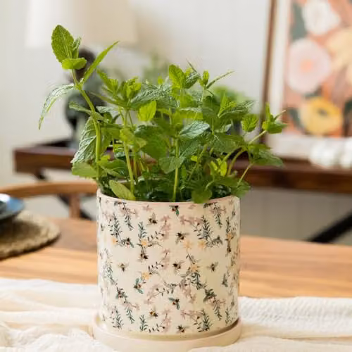 The British Gardening Company Upper Street Bees Design Ceramic Indoor Plant Pot, Multicolour, Diameter: 14 cm – 2