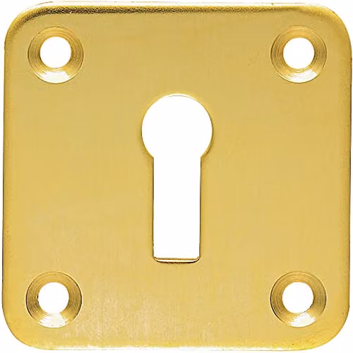 Loops Standard Lock Profile Open Escutcheon Keyhole Cover Plate in Polished Brass – 1