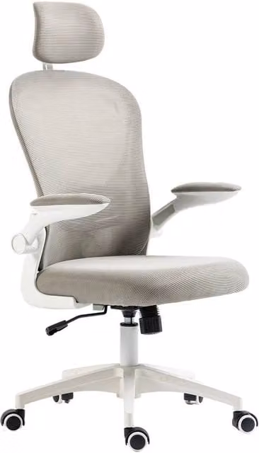 NESTLUNE Ergonomic Office Chair with Headrest and Armrests in Grey Fabric