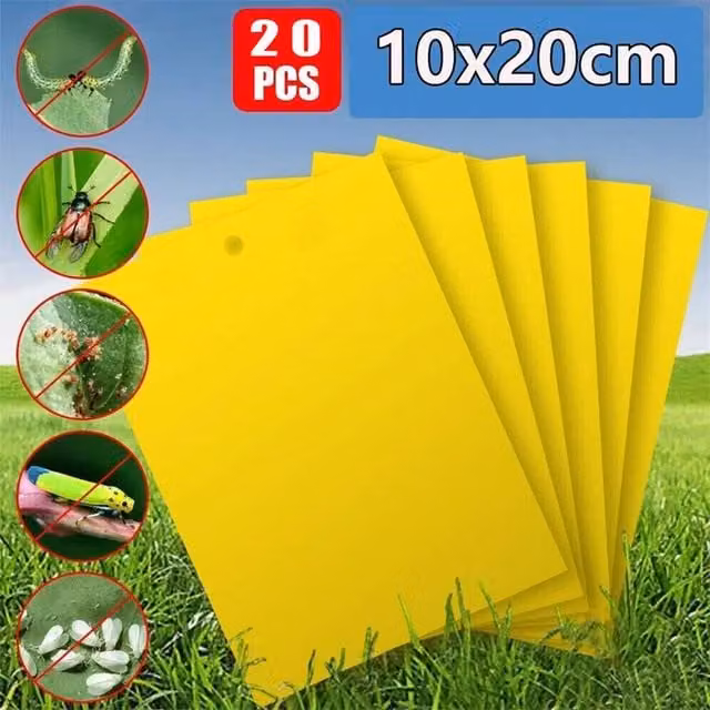 KORVIXA 20 Piece Professional Strong Sticky Fly Trap in Yellow – 1