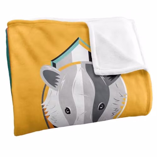 Warner Brothers Harry Potter House Squares Patchwork Fleece Blanket, Multicolour, W/D/H: 152 x 127 cm – 2