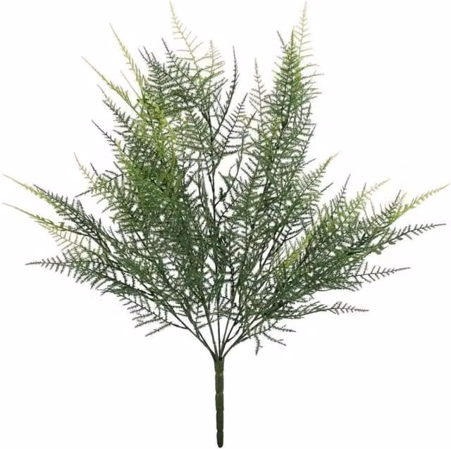 KDMD UV Exterior Junglist Asparagus Bush, Green, Height: 53 cm