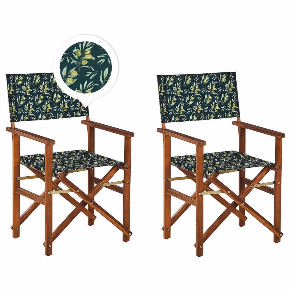 Wyld and Coco Heritage Garden Director's Chairs Set of 2, Green and White Acacia Wood and Metal Folding Chairs – 2
