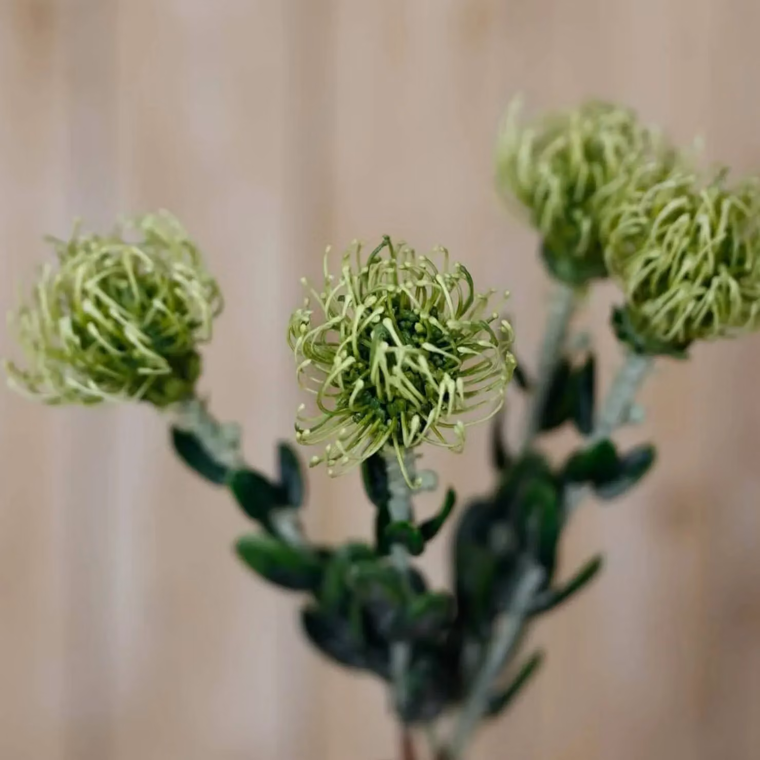 Hill Interiors Green Pincushion Protea Artificial Flower Spray – 2