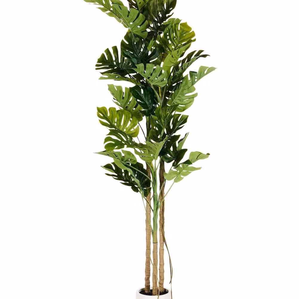 Wyld and Coco Monstera 221 cm Artificial Plant in Green Cement Pot – 2