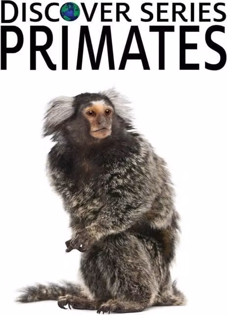 Xist Publishing Primates Hardcover Multicolour Book