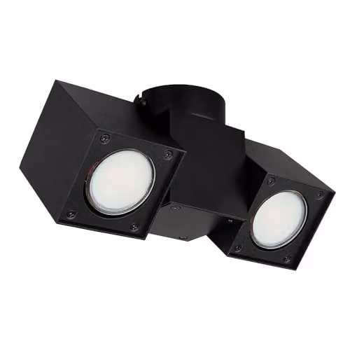 Netlighting Erin Twin Ceiling Spotlight in Matt Black with 2x GU10 Adjustable Lamps – 2