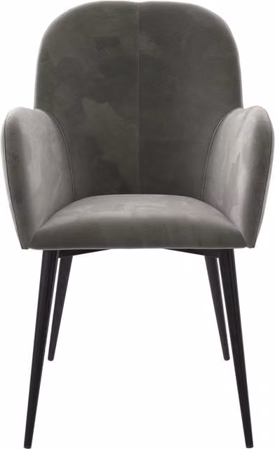 Fitz Modern Velvet Accent Dining Chair in Grey