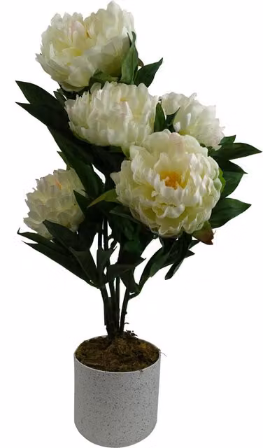 Leaf Design UK White Potted Artificial Peony Plant