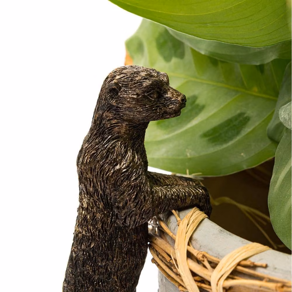 Jardinopia Meerkat Hanging Plant Pot Hanger, Bronze, L10.5 x W3.5 x H5 cm – 7