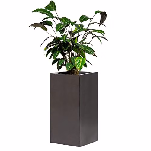 Primrose Metallic Grey Polystone Tall Cubic Outdoor Garden Planter Tub, W/D/H: 60 x 60 x 30 cm – 1