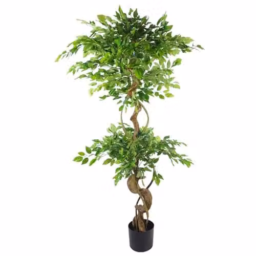 Leaf Design UK 150cm Artificial Japanese Fruticosa Style Ficus Tree with Twisted Trunk in Green and Black – 2