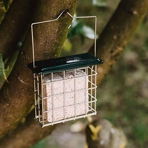 Peckish All Weather Suet Cake Feeder in Green – 2