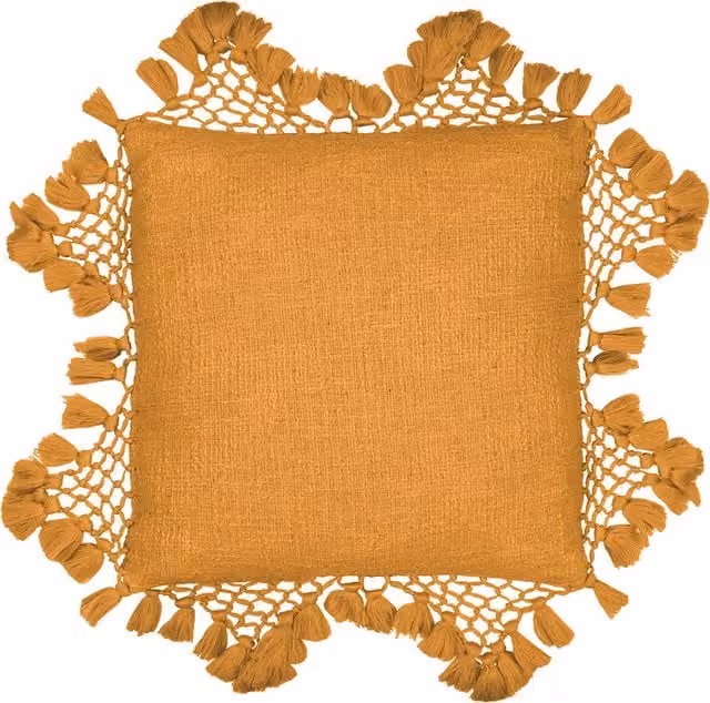 Anko Macram Tassel Cotton Cushion in Orange and Brown