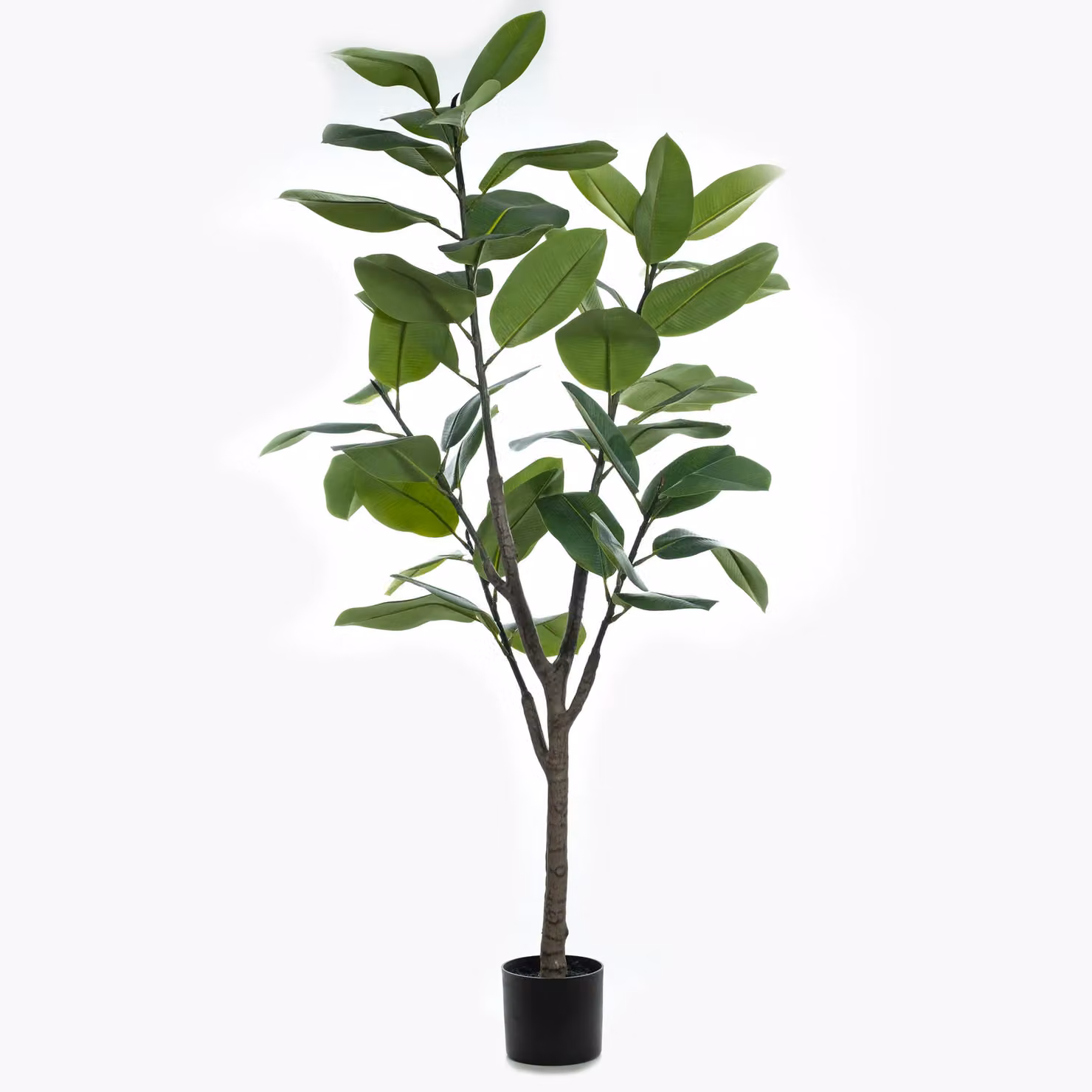 Scottish Everlastings Ltd 150cm Real Touch Green Rubber Tree – 2