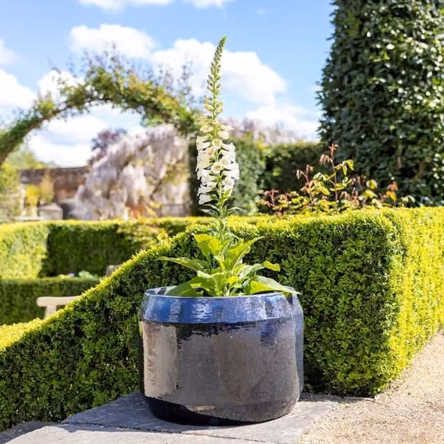 Primrose Blue Mix Round High Gloss Garden Planter, Diameter: 57 cm