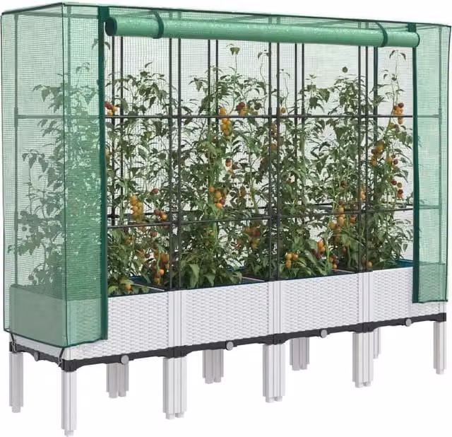 Berkfield Home Raised Bed with Greenhouse Cover in White Rattan Look, W/D/H: 160 x 40 x 140 cm – 1