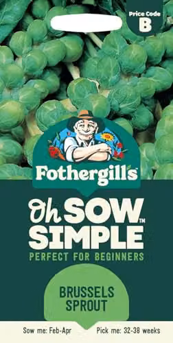 Mr Fothergill's Oh Sow Simple Brussels Sprout Vegetable Seeds, Green
