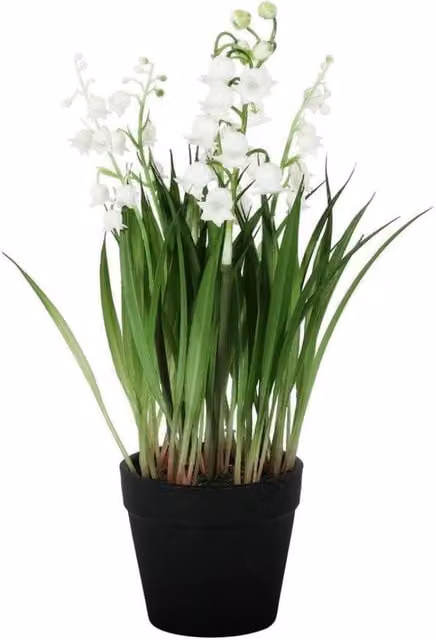 KDMD Lily of the Valley Potted Plant, 2 Pack, White and Green, 25 cm