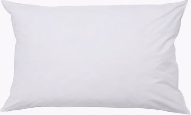 Perch & Parrow White Rectangular Poly Filled Cushion Inner, W/D/H: 50 x 30 x 3 cm