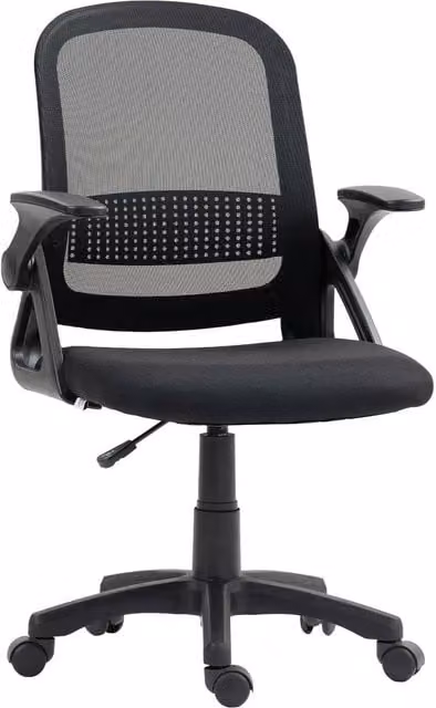 Rolipo Ergonomic Mesh Office Chair with Lumbar Support and Flip-Up Armrests in Black – 1