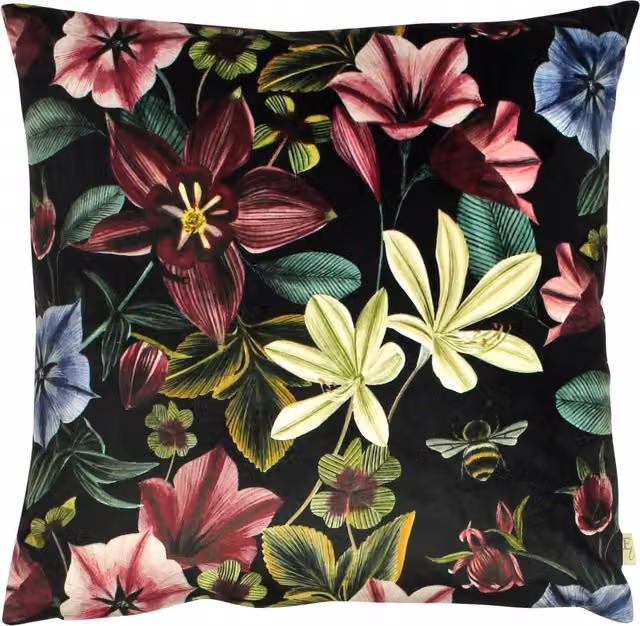 Midnight Garden Floral Square Velvet and Polyester Filled Cushion in Black and Multicolour, W: 43 cm