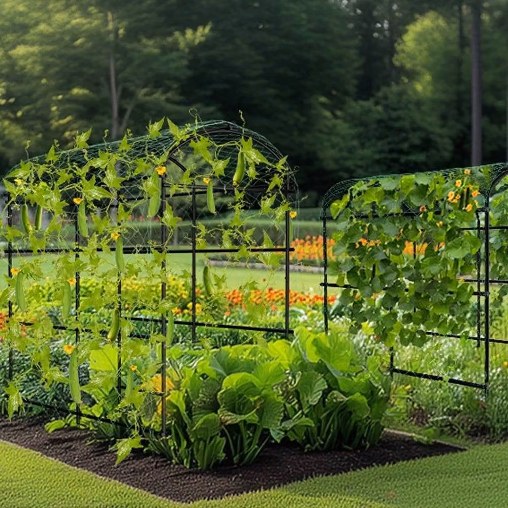 Hinsinc U Frame Black Garden Cucumber Trellis Support, W: 105 cm, D: 162 cm, H: 160 cm – 2