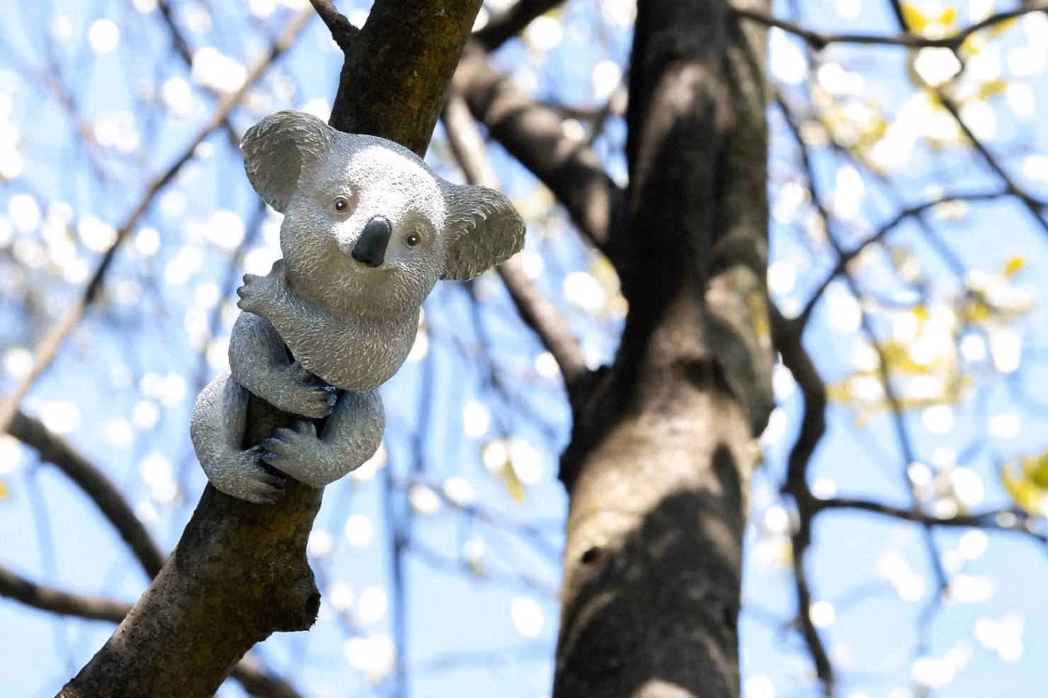 Marco Paul Tree Peeker Hugger Koala Bear Statue in Grey Resin – 4