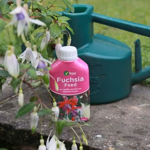Vitax Liquid Plant Tonic for Fuchsia, 500ml – 2