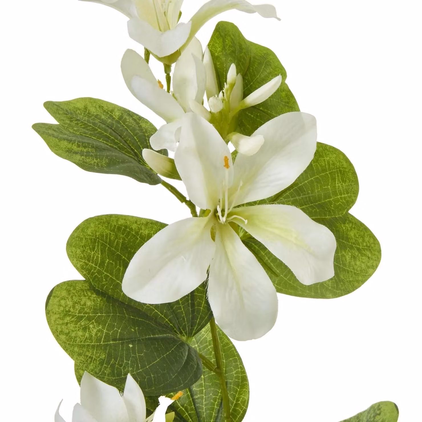 Hill Interiors Bauhinia Orchid Artificial Flower Spray in Cream and Beige – 2