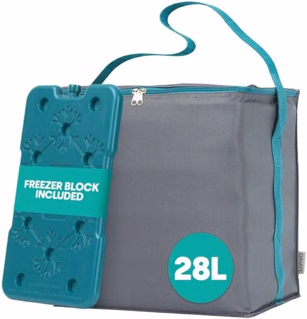 NESTLUNE 28L Insulated Cool Bag with Freezer in Grey