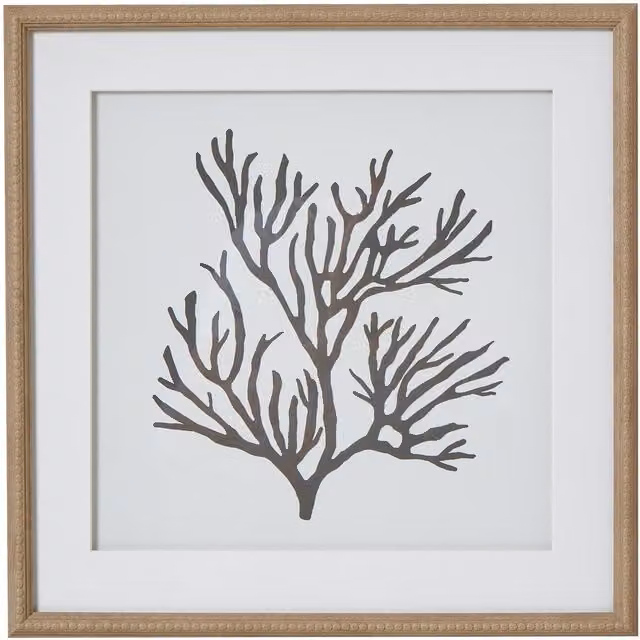 Hill Interiors Reef Coral Framed Paper Poster in Brown and Multicolour, W/H: 40 x 40 cm