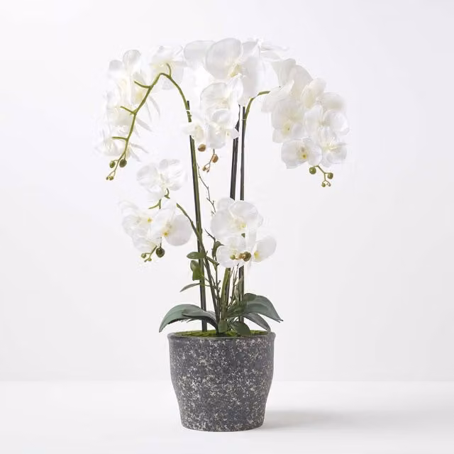 Homescapes Extra Large White Artificial Orchid in a Grey Ceramic Pot, Height: 82 cm