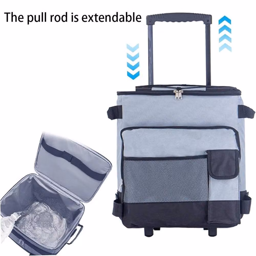 FLAVORA 43L Rolling Cooler Box in Grey, W/D/H: 100 x 15 x 15 cm – 5