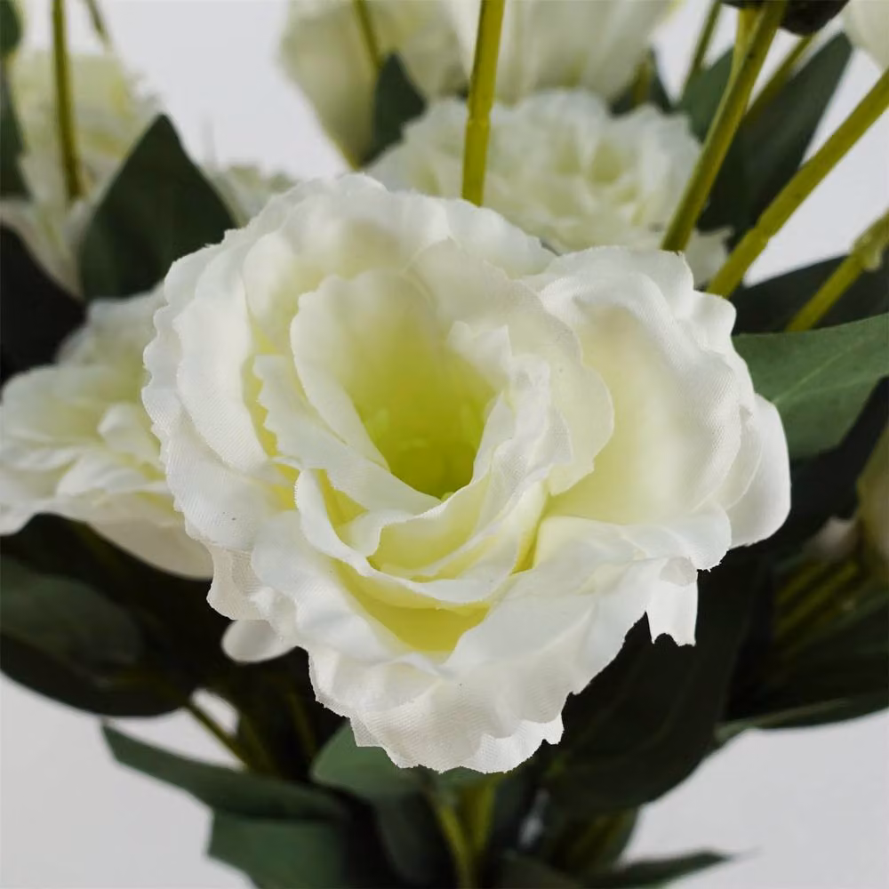 Botanik Leaf Pack of 6 White Artificial Wild Rose Stems with 36 Flowers, Height: 80 cm – 2