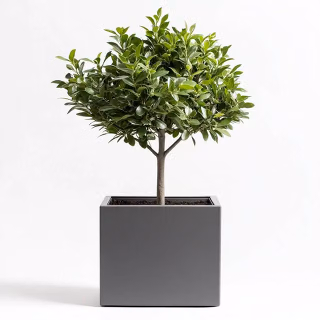 Matte Grey Galvanised Steel Square Planter Tub with Woven Wood Detail, Diameter: 50 cm